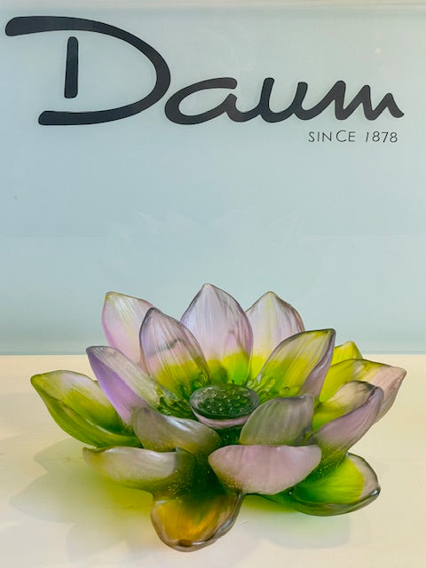 Cristal Daum : Jardin de Lotus